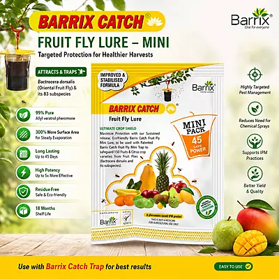 Barrix Catch Fruit Fly Lure Mini | Pheromone Trap Lure for Fruit